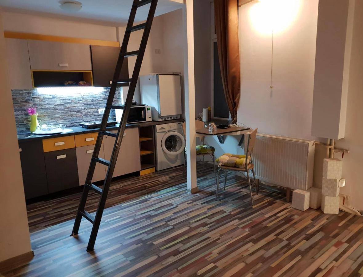 Young Downtown Apartment Arad Extérieur photo